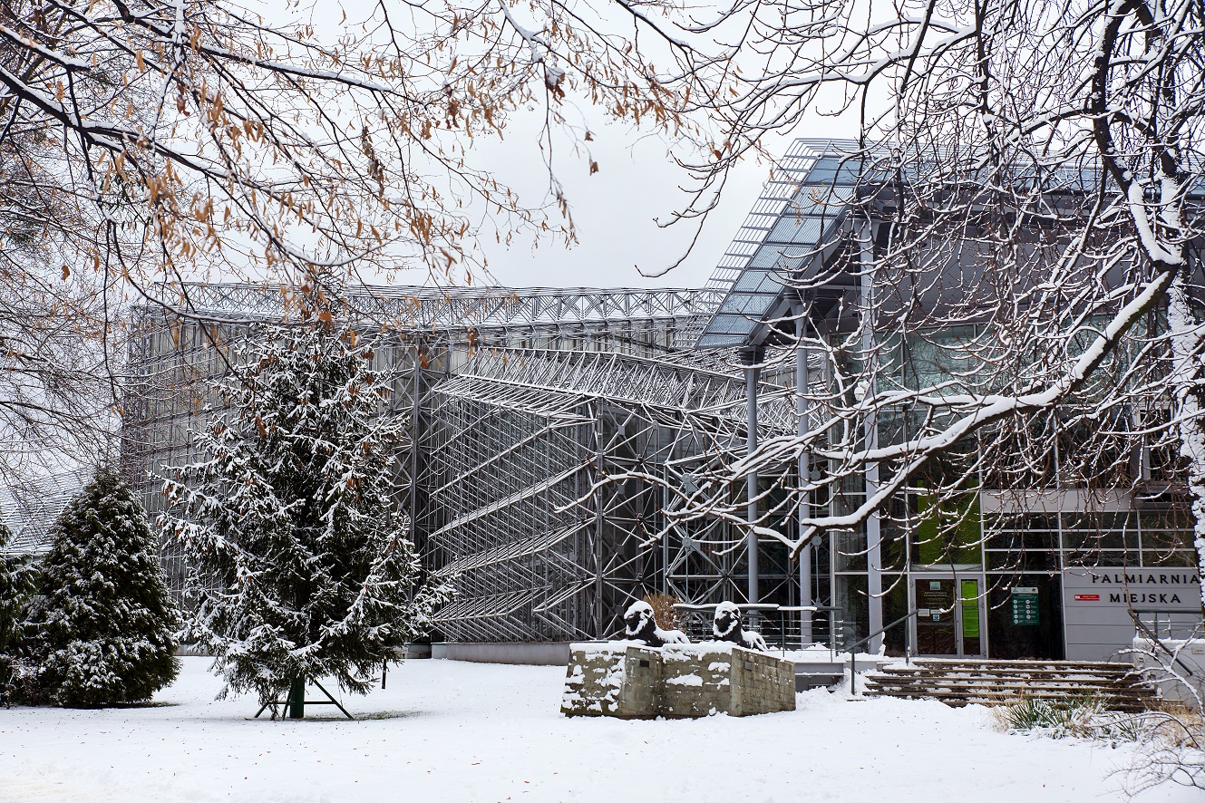 Fot. D.Nita-Garbiec/UM Gliwice Palmiarnia zimą