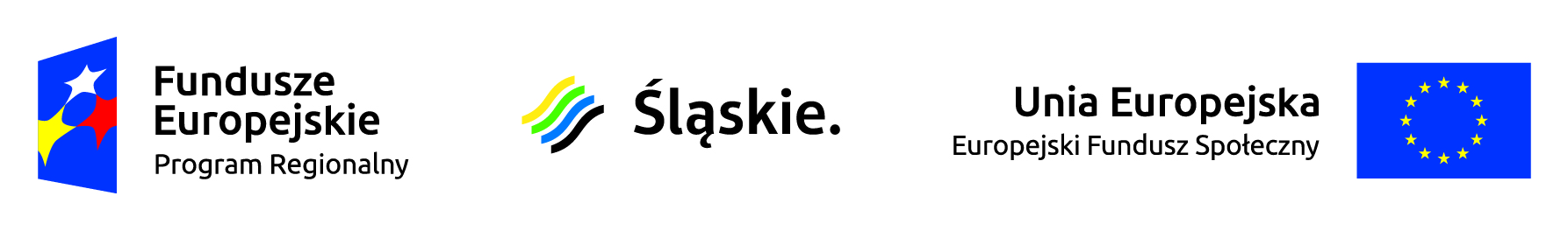 logo EFS Śląskie