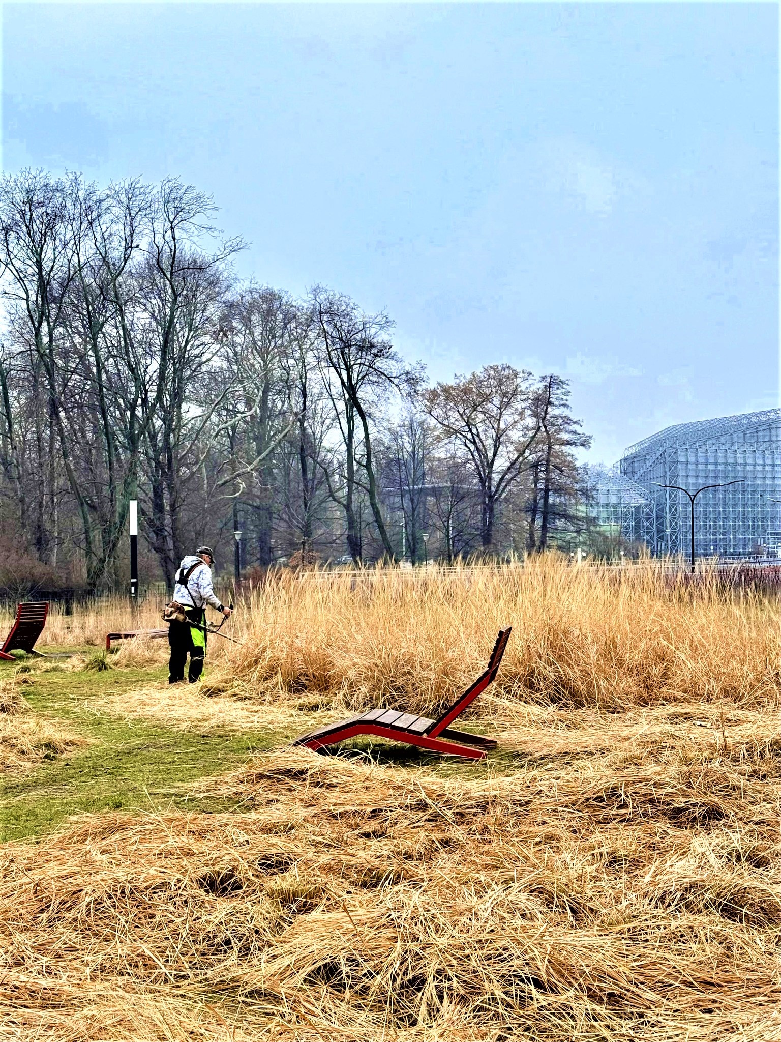 Fot. UM Gliwice człowiek z kosiarką kosi trawy
