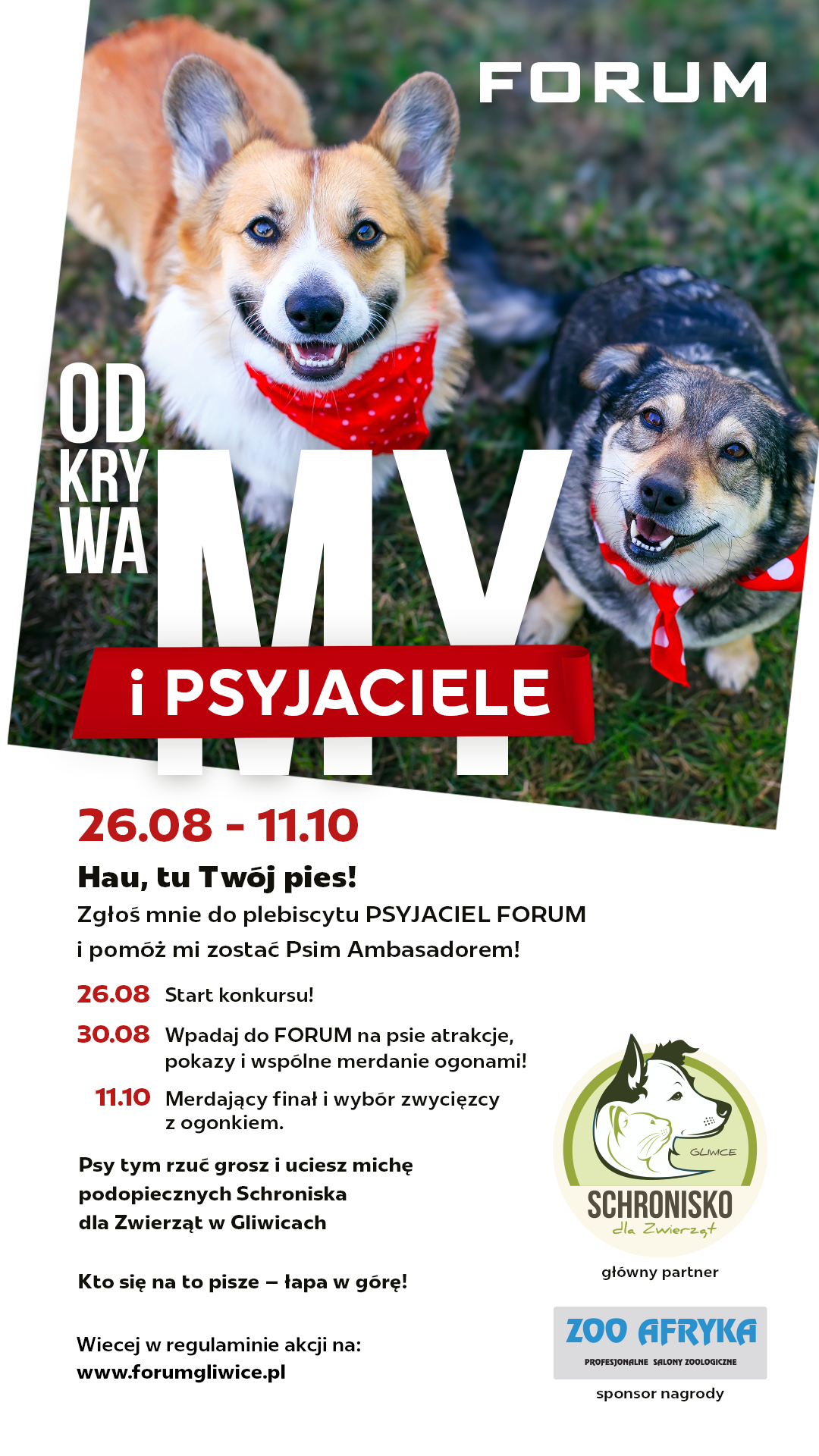 Fot. materiały FORUM Gliwice Plakat ze zdjęciem psa i wypisanym harmonogramem