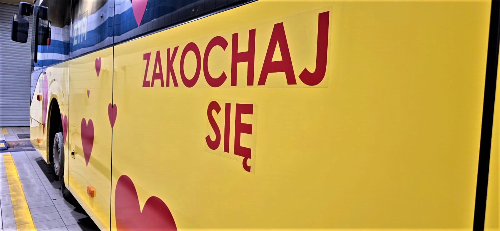 Fot. PKM Gliwice Czerwony napis Zakochaj się i czerwone serca na szybie żółtym autobusie
