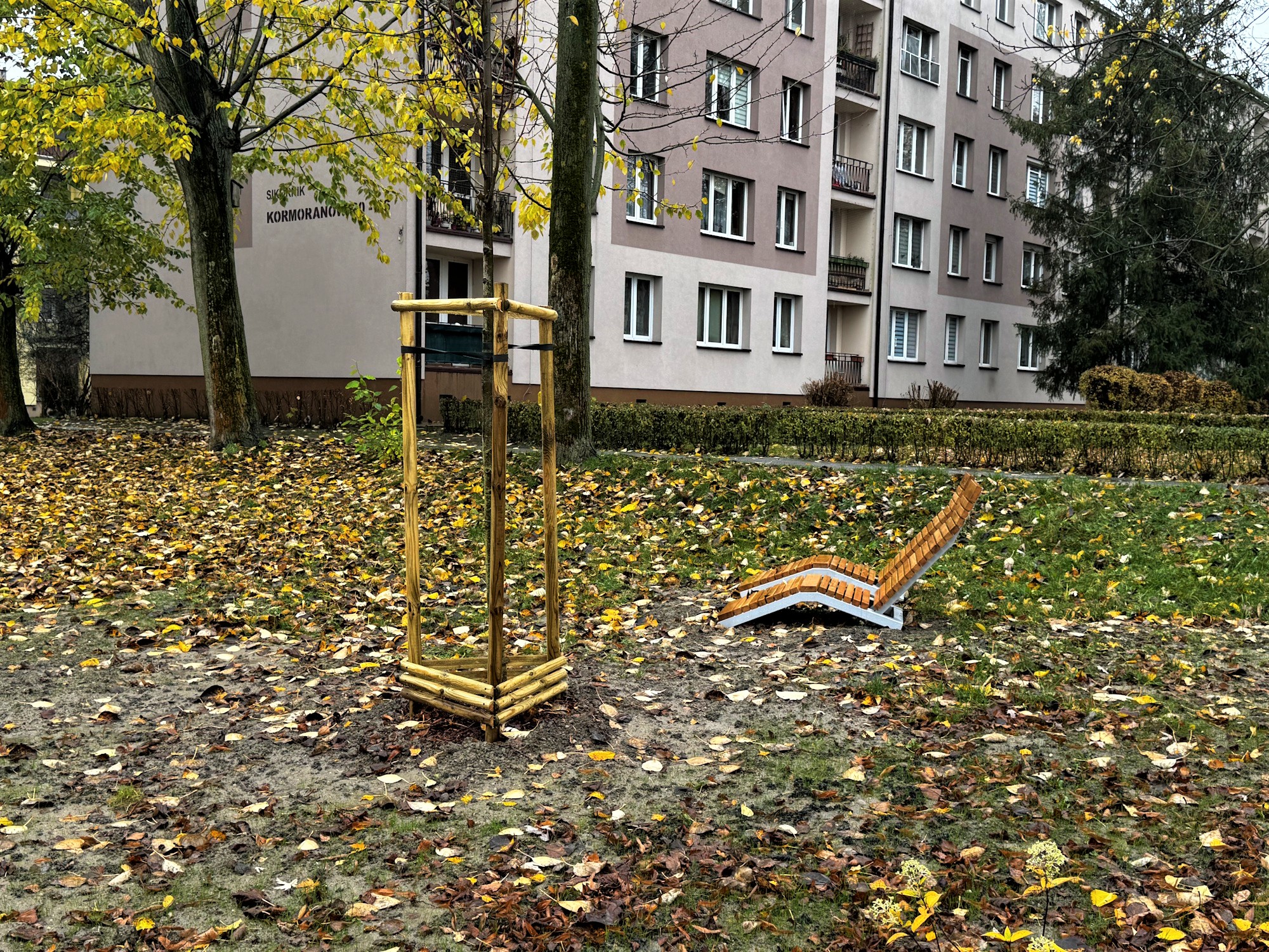 ławka wśród liści