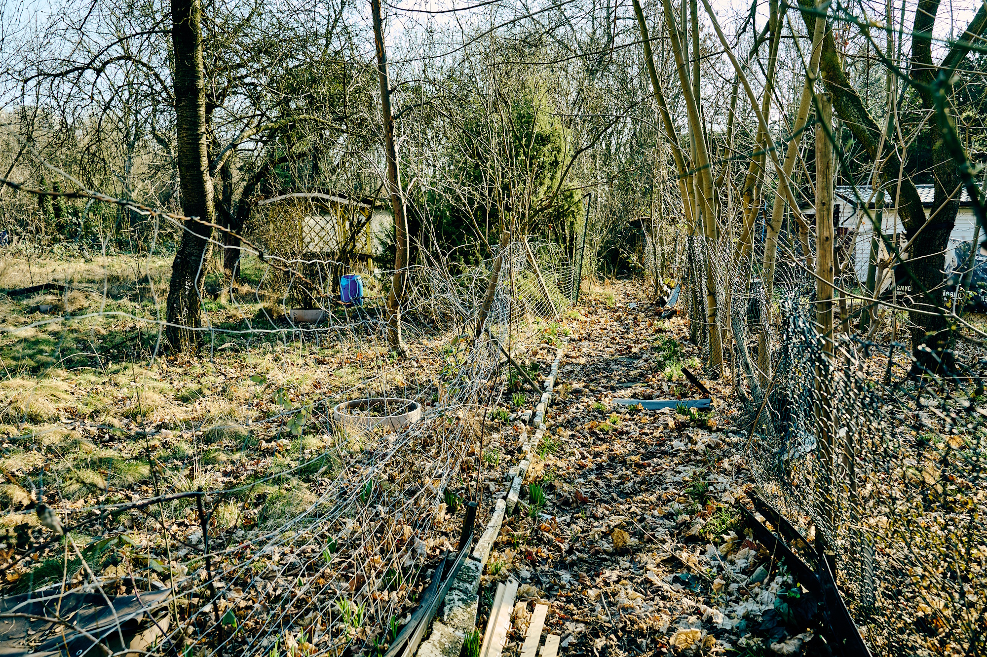 widok z góry na kompleks ogródków działkowych między ul. Kochanowskiego i ul. Bajana