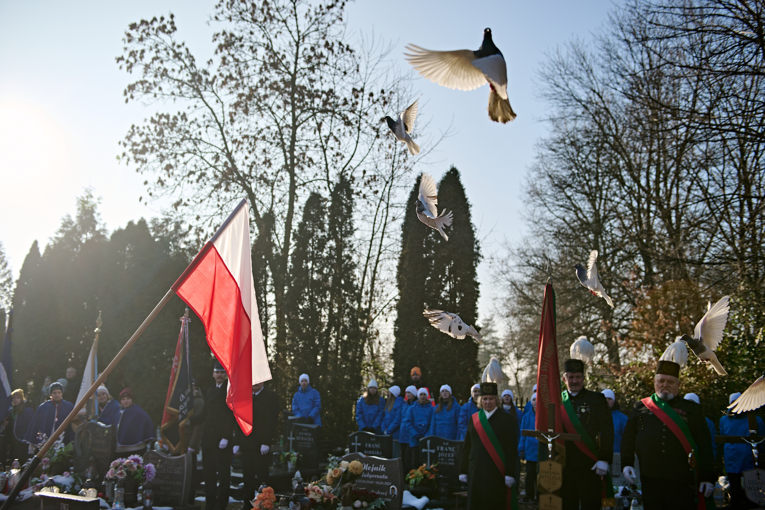 Gołębie wzbijające się w niebo