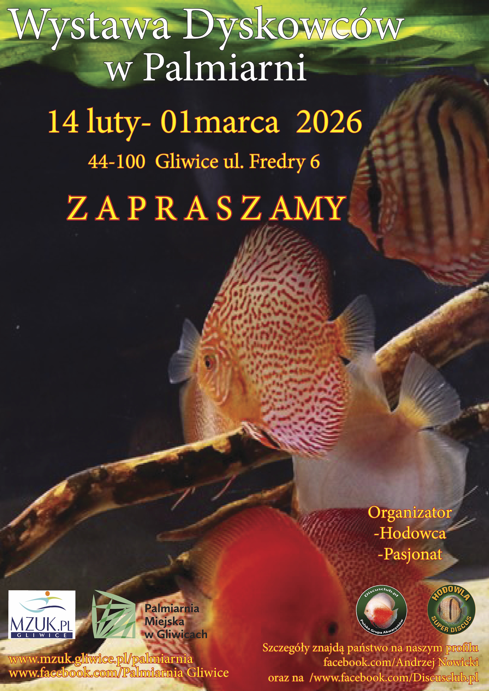 plakat