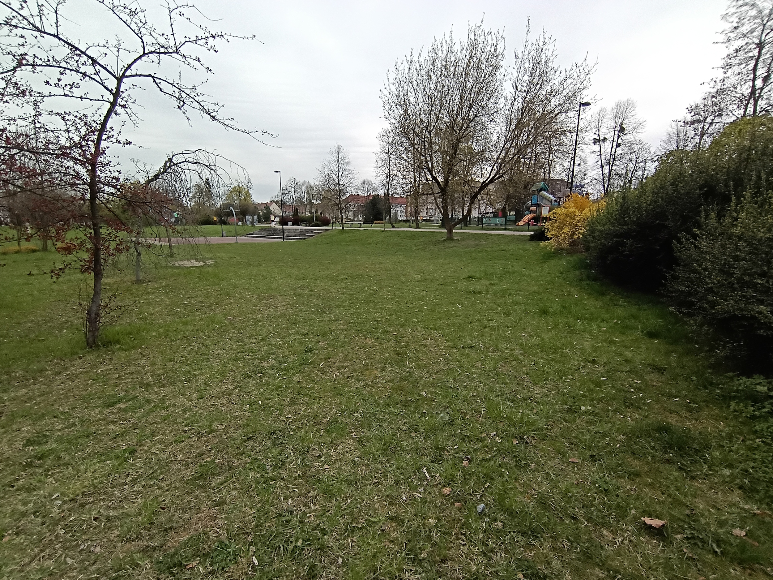 Teren pod Ninja Park przy ul. Narutowicza