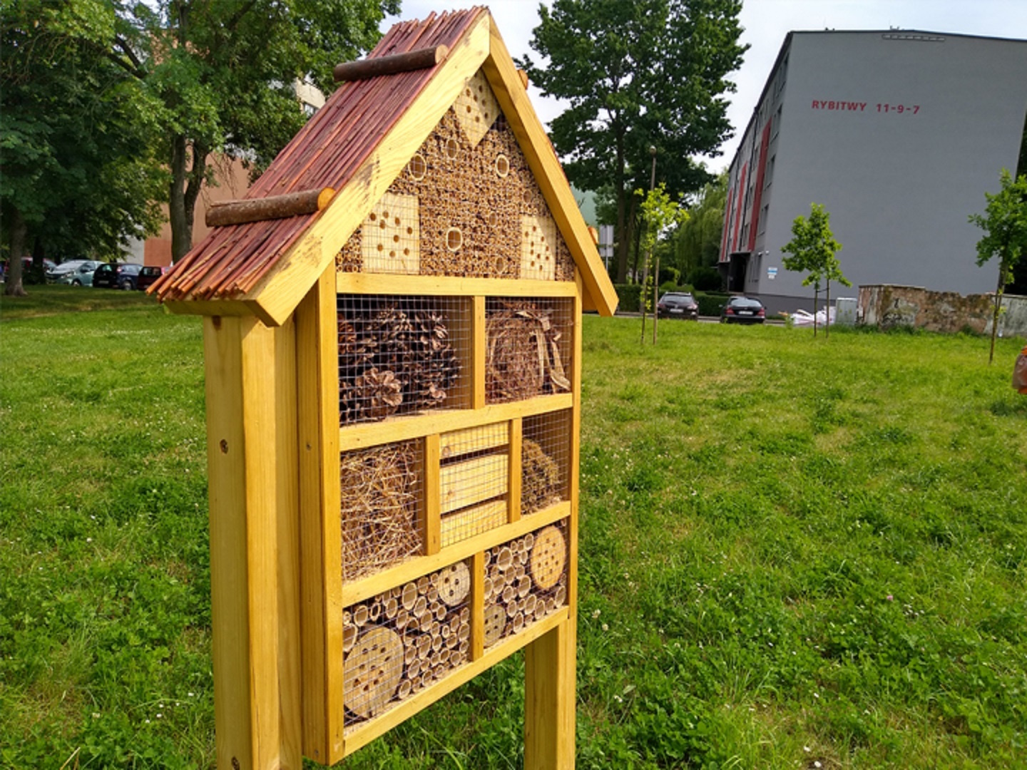 domek dla owadów