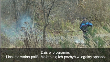 Palący problem z liśćmi w roli głównej 