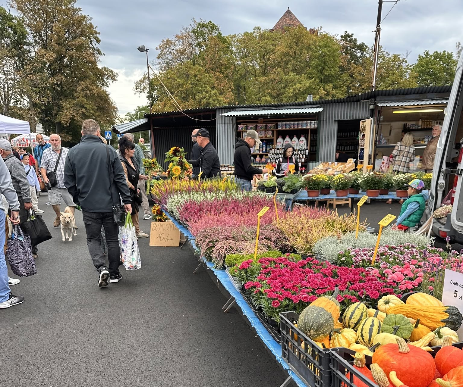 kolorowe targowisko i ludzie