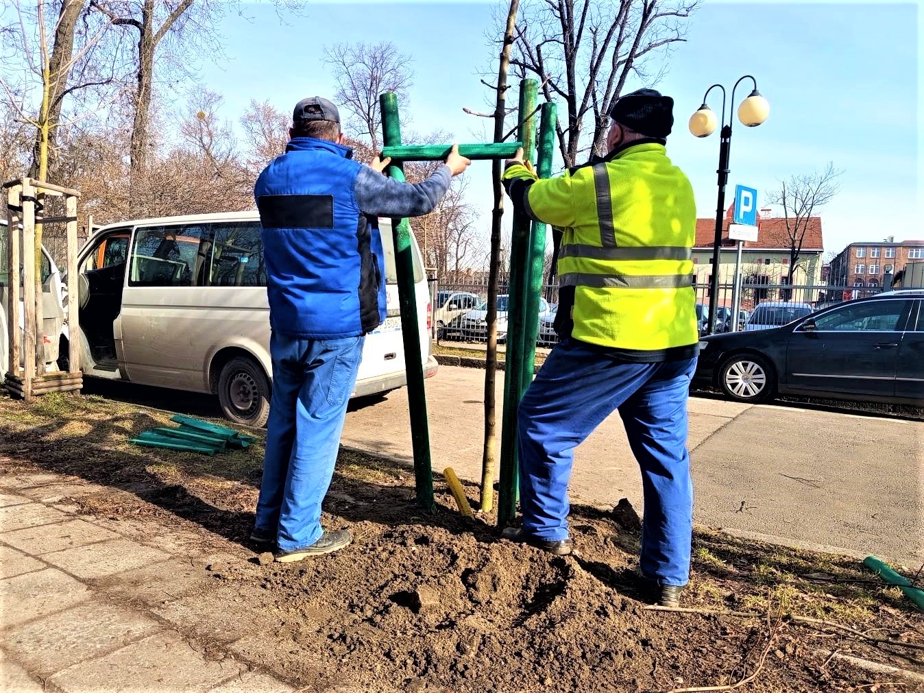 Gliwice stroją się w zieleń. To dopiero początek! 