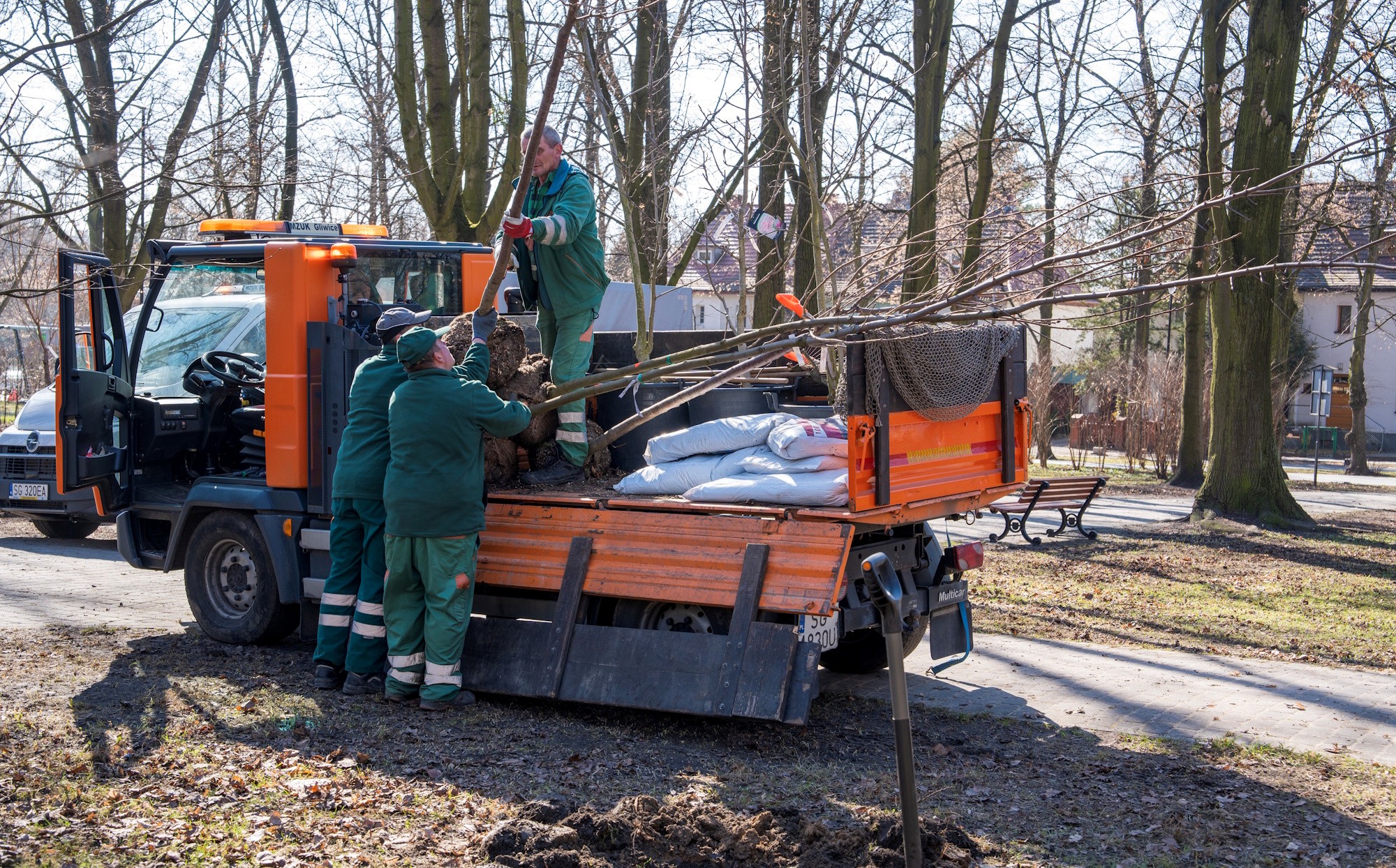 człowiek na pace samochodu i drzewa, obok jeszcze dwóch mężczyzn