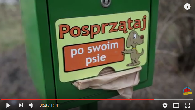 Czy trzeba sprzątać po swoim psie? 