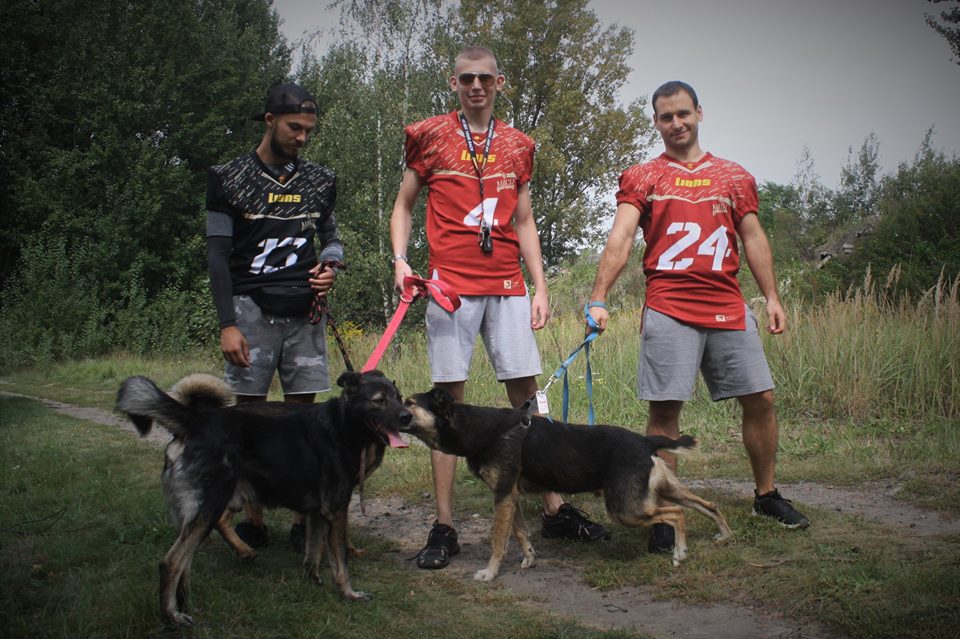 Bieg na sześć łap po raz szósty w Gliwicach