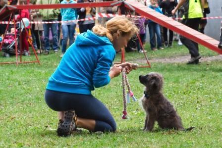 Otwórz serce… one potrzebują pomocy