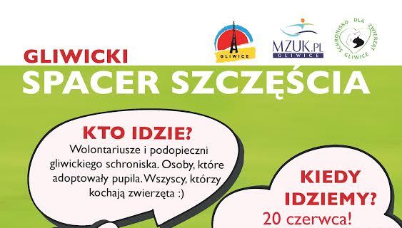 Zwierzęta ze schroniska przynoszą szczęście!