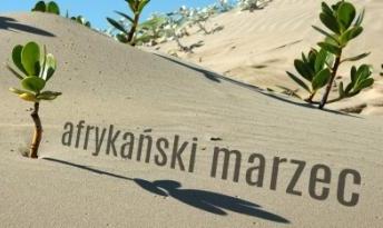 Marzec w bibliotece? Afrykański!